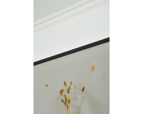 Kamerplafond met sierlijst