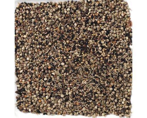 Zaadmengsel voor de tuin