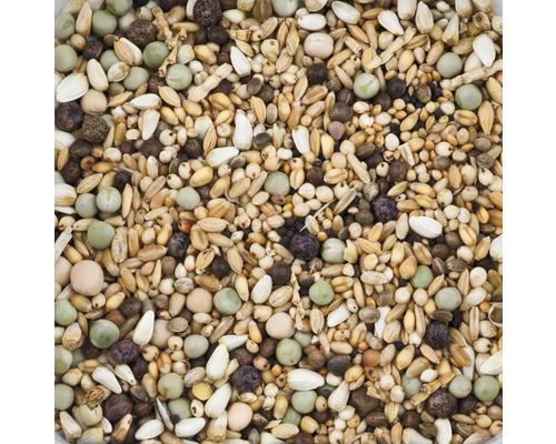 Vogelvoermengsel met verschillende zaden en granen