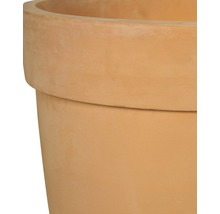 Detailopname van een terracotta plantenbak