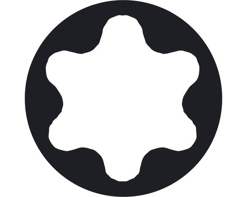 Torx profiel