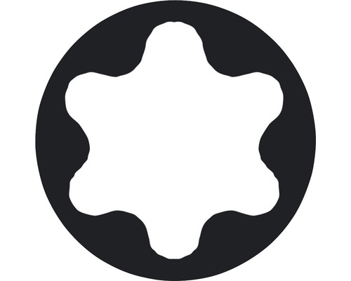 Torx schroefprofiel