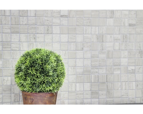 Scene met mozaïektegels en een potplant