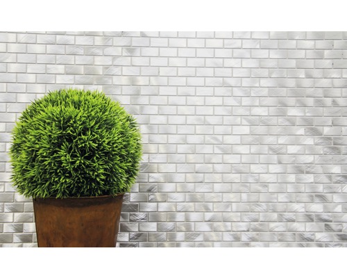 Decoratieve groene plant in een pot voor een wand met metalen mozaïektegels