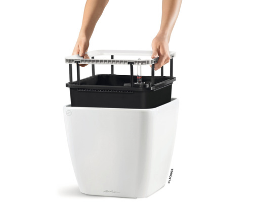 Plantenbewateringssysteem met waterniveau-indicator en planteninzetstuk