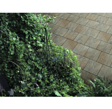 DIEPHAUS Straatsteen iWay Eco schelpkalk 30x20x6 cm-thumb-2 DIEPHAUS Straatsteen iWay Eco schelpkalk 30x20x6 cm-thumb-2