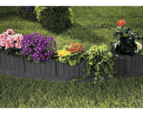 Tuin met gazon en betonnen border met diverse bloemen