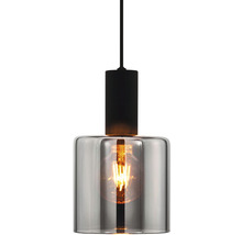 Hanglamp met glazen kap en lichtbron