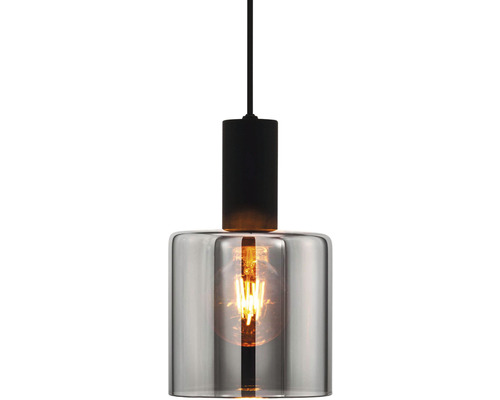 Hanglamp met glazen kap en lichtbron