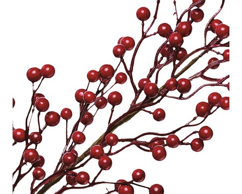 Decoratieve takken met rode bessen