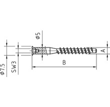 DRESSELHAUS Staalverbindingsschroef verzonken kop binnenzeskant 5x40 mm galv. verzinkt, 100 stuks-thumb-3