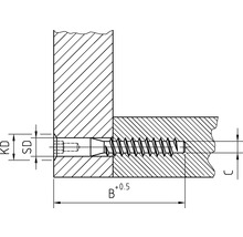 DRESSELHAUS Staalverbindingsschroef verzonken kop binnenzeskant 6,3x40 mm galv. verzinkt, 100 stuks-thumb-2