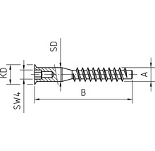 DRESSELHAUS Staalverbindingsschroef verzonken kop binnenzeskant 6,3x40 mm galv. verzinkt, 100 stuks-thumb-1