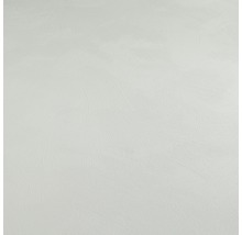 Coverboard Padena plafondlijst structuur wit 40 x 8 mm lengte 2600 mm-thumb-1