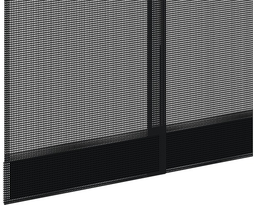 Detailweergave van een insectenhor.