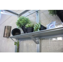 Rek met planten en thermometer