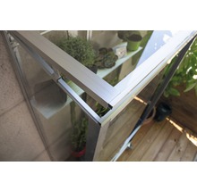 Detailopname van een kas met aluminium frame en planten