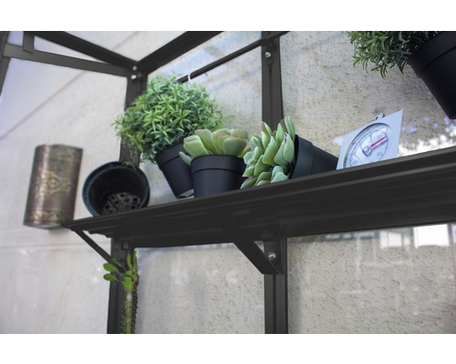 Plank in kas met planten en thermometer