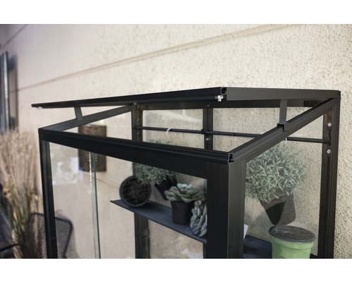 Detailopname van een zwarte kas met planten