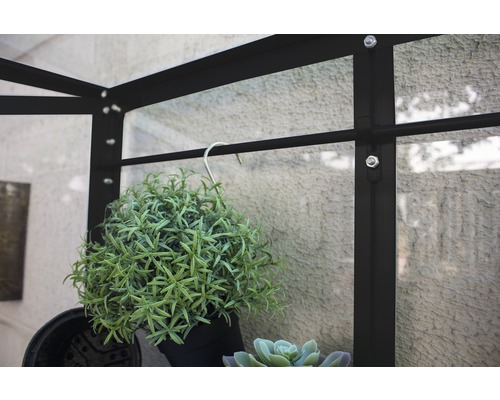 Detailopname van een kas met planten aan een haak