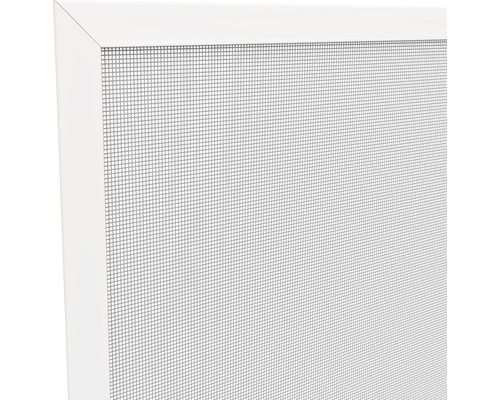 Detailopname van een insectenraam met wit frame en fijnmazig gaas