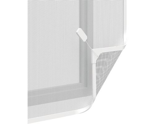 Hor met frame voor raam