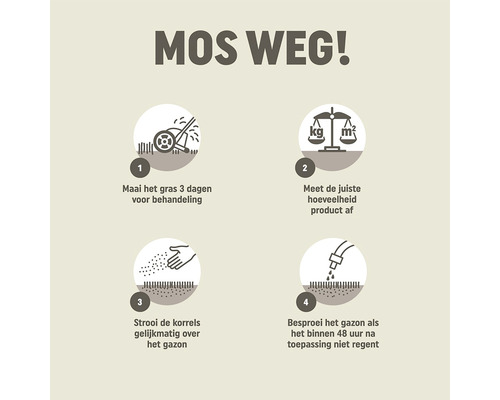 Instructie voor het verwijderen van mos in het gazon in vier stappen