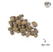 VITALSTYLE Hondenvoer ADULT hondenbrokken 12 kg