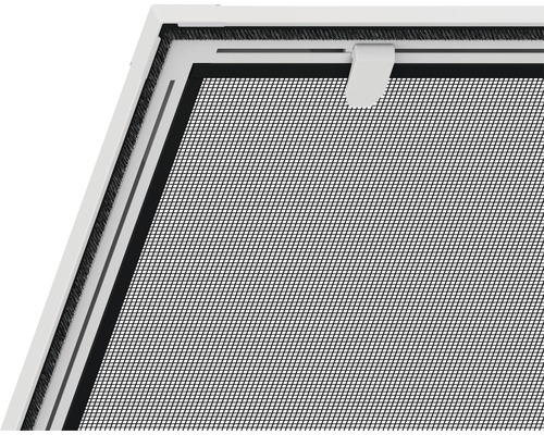 Detailopname van een insectenhor met frame