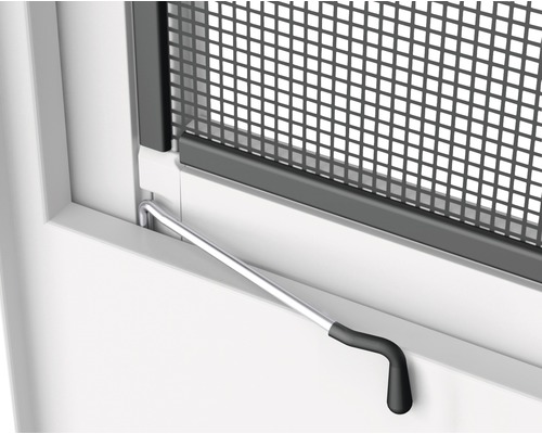 Detailopname van een insectenhor met bedieningshendel op het raam