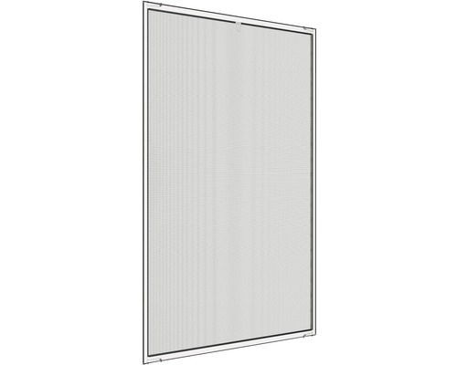 Insectenhor met frame voor raam