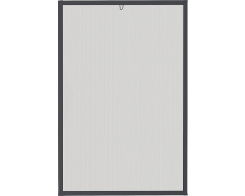 Insectenhor met frame