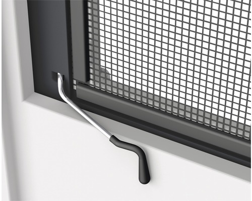 Hor met draaihendel op het raam