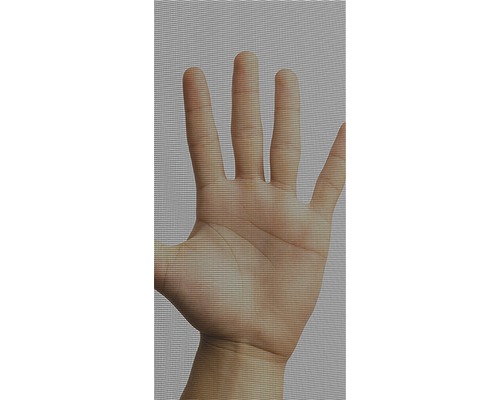 Hand achter een insectenhor