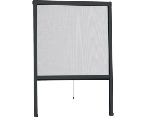 HOME PROTECT Rolhor raam antraciet 80x130 cm