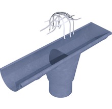 Dakgoot met bladvang