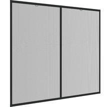 Twee insectenhorren met frame