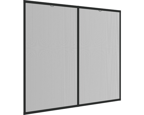 Twee insectenhorren met frame