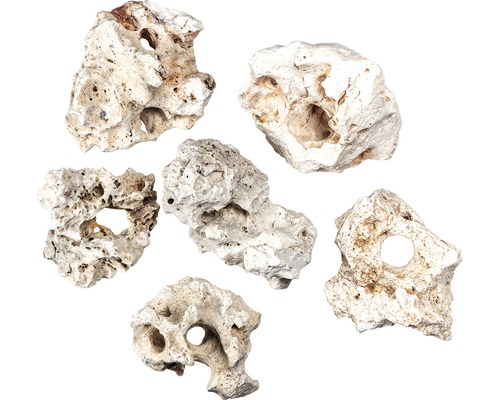 Verschillende gatenstenen voor aquaria