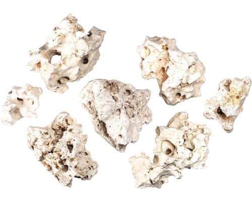 Zeven gatenstenen voor aquaria