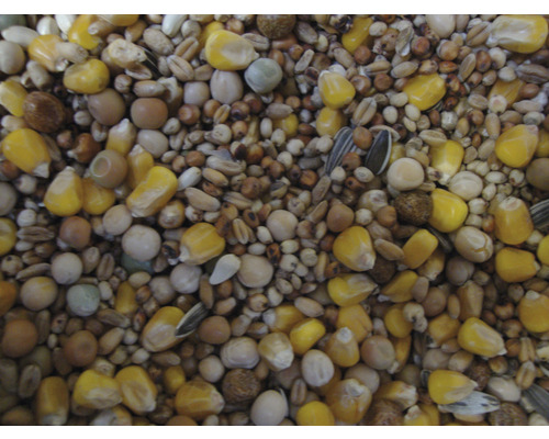 Diverse granen voor vogelvoer