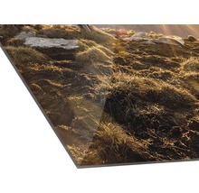 Detailopname van een fotodoek met grassen en stenen