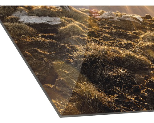Detailopname van een fotodoek met grassen en stenen