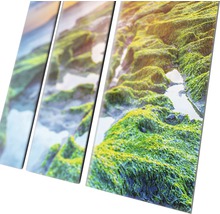 Meerluik wanddecoratie met een landschapsgezicht met rotsen en planten