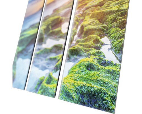 Meerluik wanddecoratie met een landschapsgezicht met rotsen en planten