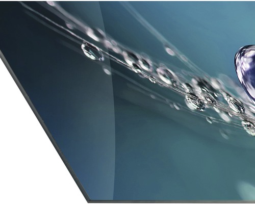 Acrylglasfoto met waterdruppelmotief