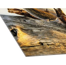 Decoratie afbeelding met drijfhout en glazen bol