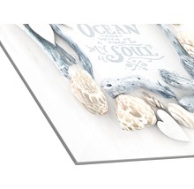 Decoratie met opschrift oceaan en schelpen