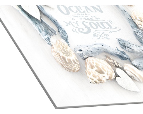 Decoratie met opschrift oceaan en schelpen