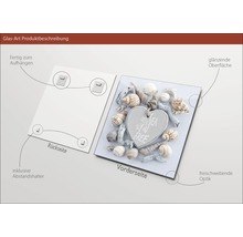 Glasfoto met schelpmotief, inclusief muurbevestiging